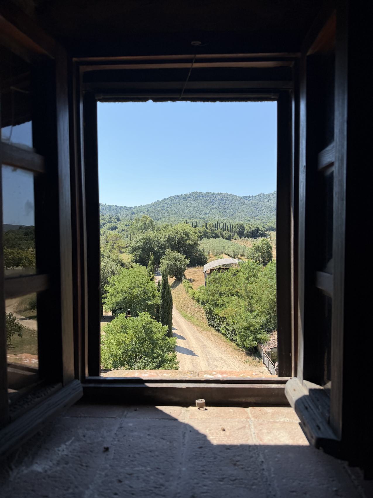 Vista dalla feritoia della torre sul viale di cipressi e la campagna maremmana