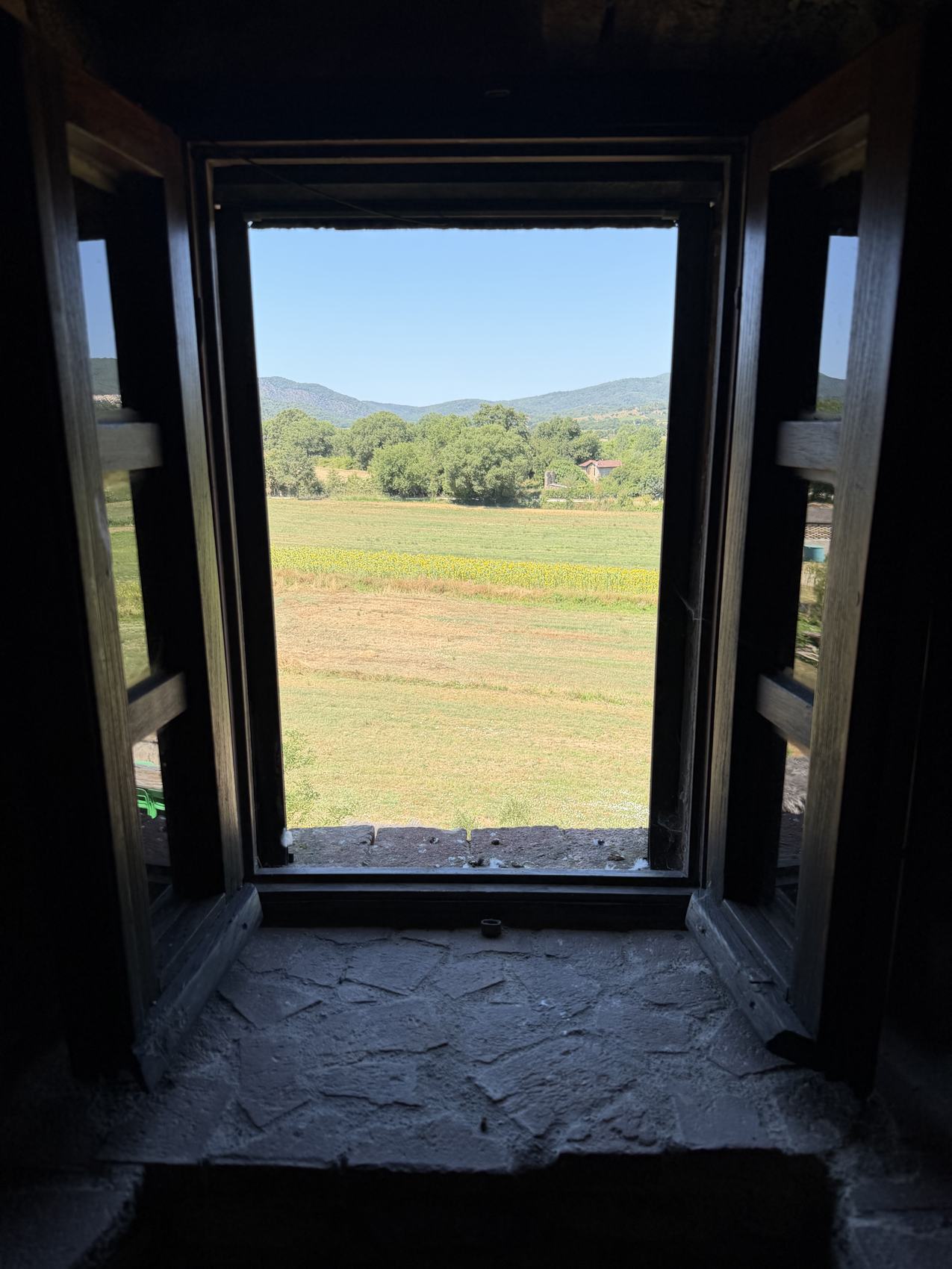 Vista sui girasoli della Maremma dalla torre